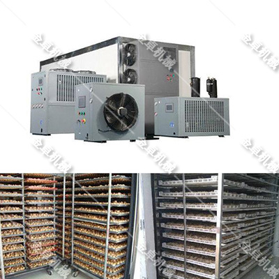 ���Һ����