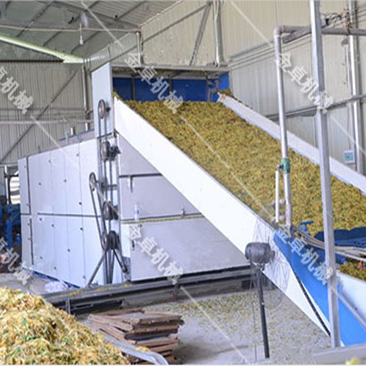 ���y������F(xi��n)��